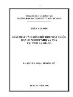 258 Giải pháp tài chính hỗ trợ phát triển doanh nghiệp nhỏ và vừa tại tỉnh An Giang