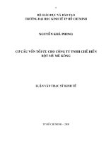 248 Cơ cấu vốn tối ưu cho Công ty TNHH chế biến bột mỳ Mê Kông