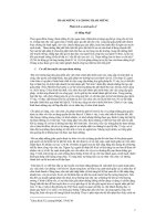 THAM NHŨNG VÀ CHỐNG THAM NHŨNG