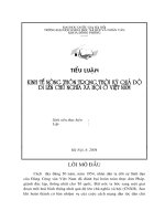 Kinh tÕ n«ng th«n trong thêi kú qu¸ ®é  ®i lªn chñ nghÜa x• héi ë ViÖt Nam