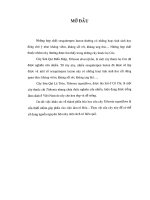 phần mở đầu trong nghiên cứu thành phần cây sơn quỳ lá tròn