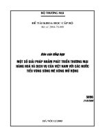 Một số giải pháp nhằm phát triển thương mại hàng hóa và dịch vụ của Việt Nam với các nước tiểu vùng sông Mê Kong mở rộng