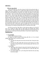 Đặc điểm tình hình hoạt động của bán trả góp