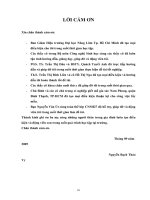 Áp dụng qui trình nuôi chín noãn in vitro trên heo và chó (Phần phụ)