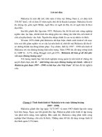 Ảnh hưởng của cuộc khủng hoảng tài chính- tiền tệ ở Malaixia giai đoạn 1997-1998 và bài học cho Việt nam