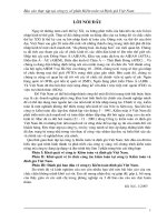 13 Báo cáo tổng hợp về Công ty kiểm toán và định giá Việt Nam& tổ chức công tác kiểm toán tại Công ty kiểm toán và định giá Việt Nam