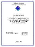 PHÂN TÍCH HOẠT ĐỘNG TÍN DỤNG  TẠI NGÂN HÀNG PHÁT TRIỂN NHÀ  ĐỒNG BẰNG SÔNG CỬU LONG  CHI NHÁNH CẦN THƠ