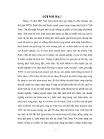 113 Rủi ro kiểm toán gắn với việc thiết kế các mô hình rủi ro