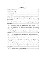 Nghiên cứu về việc thu hút vốn đầu tư nước ngoài và thị trường chứng khoán Việt Nam