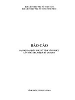 Báo cáo đại hội phụ nữ năm 2011