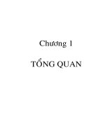 p1 tổng quan về cây an điền hoa nhỏ