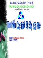 Tìm hiểu các thiết bị sấy cà phê