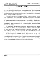 phân tích báo cáo tài chính  của Công Ty Cổ Phần Vận Tải và Thuê tàu