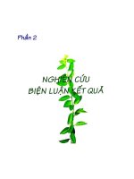 Nghiên cứu và biện luận kết quả về tinh dầu chanh