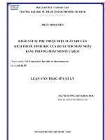 Khảo sát sự phụ thuộc hiệu suất ghi vào kích thước hình học của Detector nhấp nháy bằng phương pháp monte carlo