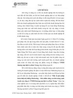 Một số giải pháp hoàn thiện hệ thống Marketing – Mix nhằm nâng cao khả năng cạnh tranh của công ty TNHH thương mại dịch vụ Kim Trang