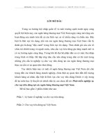 Phát triển nghiệp vụ cho vay tiêu dùng tại các ngân hàng thương mại Việt nam