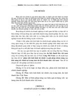 Phân tích tình hình tài chính và giải pháp nhằm nâng cao khả năng tài chính tại trung tâm du lịch thanh niên Việt Nam