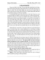 61 Kế toán chi phí sản xuất và tính giá thành sản phẩm tại Công ty bánh kẹo Hải Hà