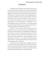 Thương mại dịch vụ Việt Nam