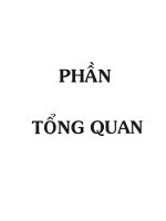 Tổng quan về thành phần hóa học cao CLORFORM của cây râu mèo