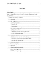 Thị trường trái phiếu Việt Nam