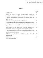 Chủ nghĩa tư bản độc quyền nhà nước