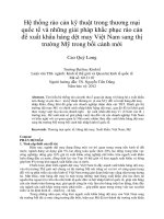 Hệ thống rào cản kỹ thuật trong thương mại quốc tế và những giải pháp khắc phục rào cản để xuất khẩu hàng dệt may Việt Nam sang thị trường Mỹ