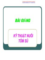 Bệnh phát sáng