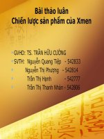 chiến lược sản phẩm của xmenx