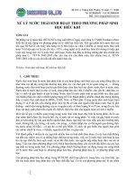 Xử lý nước thải sinh hoạt theo phương pháp sinh học hiếu khí