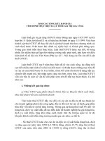 BÁO CÁO TỔNG KẾT, ĐÁNH GIÁ TÌNH HÌNH THỰC HIỆN LUẬT THUẾ GIÁ TRỊ GIA TĂNG