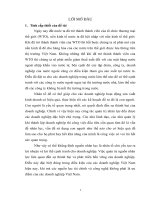 Một số giải pháp nhằm hoàn thiện công tác quản trị nhân lực tại Công ty Cổ phần Tập đoàn Tiến Bộ