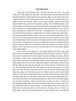 Thực trạng và các giải pháp khai thác và tạo lập vốn cho hoạt động sản xuât kinh doanh ở công ty xây dựng Hồng Hà