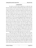 9 Tổ chức kế toán tại sản cố định tại Công ty cổ phần thương mại dịch vụ vận tải Thuận Yến