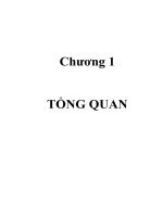 Tổng quan về  cây Hedyotis Dichotoma keon