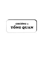 Tổng quan khảo sát phản ứng trùng ngưng giữa Bisphenol-A với Diclorometan