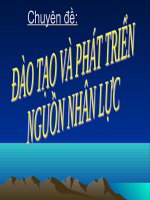 Đào tạo và phát triển nguồn nhân lực
