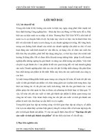 báo cáo tốt nghiệp