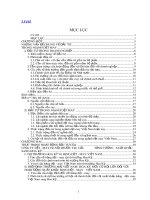 Giải pháp đầu tư tại Công ty Dệt - May Hà Nội nhằm đáp ứng yêu cầu xuất khẩu sang thị trường Mỹ