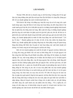 39 Kế toán nguyên vật liệu tại Công ty An Bình (thức ăn gia súc)