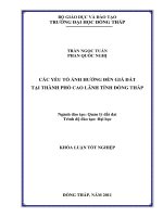 CÁC YẾU TỐ ẢNH HƯỞNG ĐẾN GIÁ ĐẤT TẠI THÀNH PHỐ CAO LÃNH TỈNH ĐỒNG THÁP