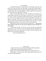 Thị trường chứng khoán Việt nam và một số vấn đề đang đặt ra để tiếp tục phát triển