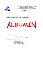 Albumin
