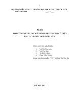 Do luong no xau tai BIDVx