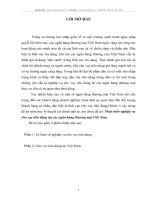 Phát triển nghiệp vụ cho vay tiêu dùng tại ngân hàng thương mại Việt nam