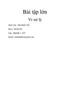 Bài tập lớn Vi xử lý
