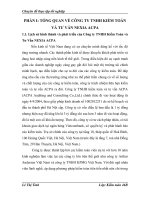 252 Vận dụng thủ tục phân tích trong kiểm toán báo cáo tài chính tại Công ty TNHH Kiểm Toán và Tư Vấn NEXIA ACPA