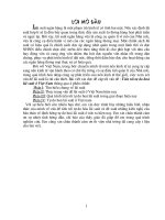 Tiến tới tự do hóa lãi suất ở Việt nam