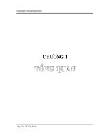 Tổng quan về thành phần hóa học lá cây cốc đồng